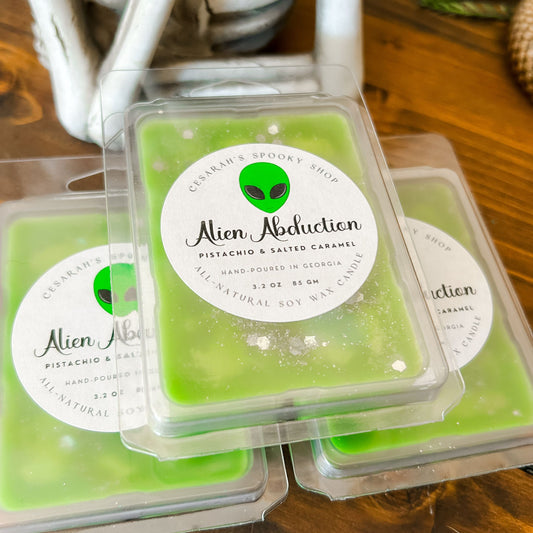 Alien Abduction Wax Melt (Pistachio & Salted Caramel)