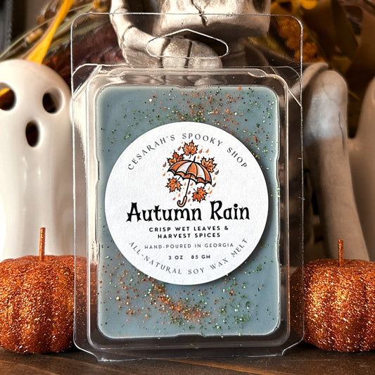 Autumn Rain Wax Melt (Crisp Wet Leaves and Harvest Spices)