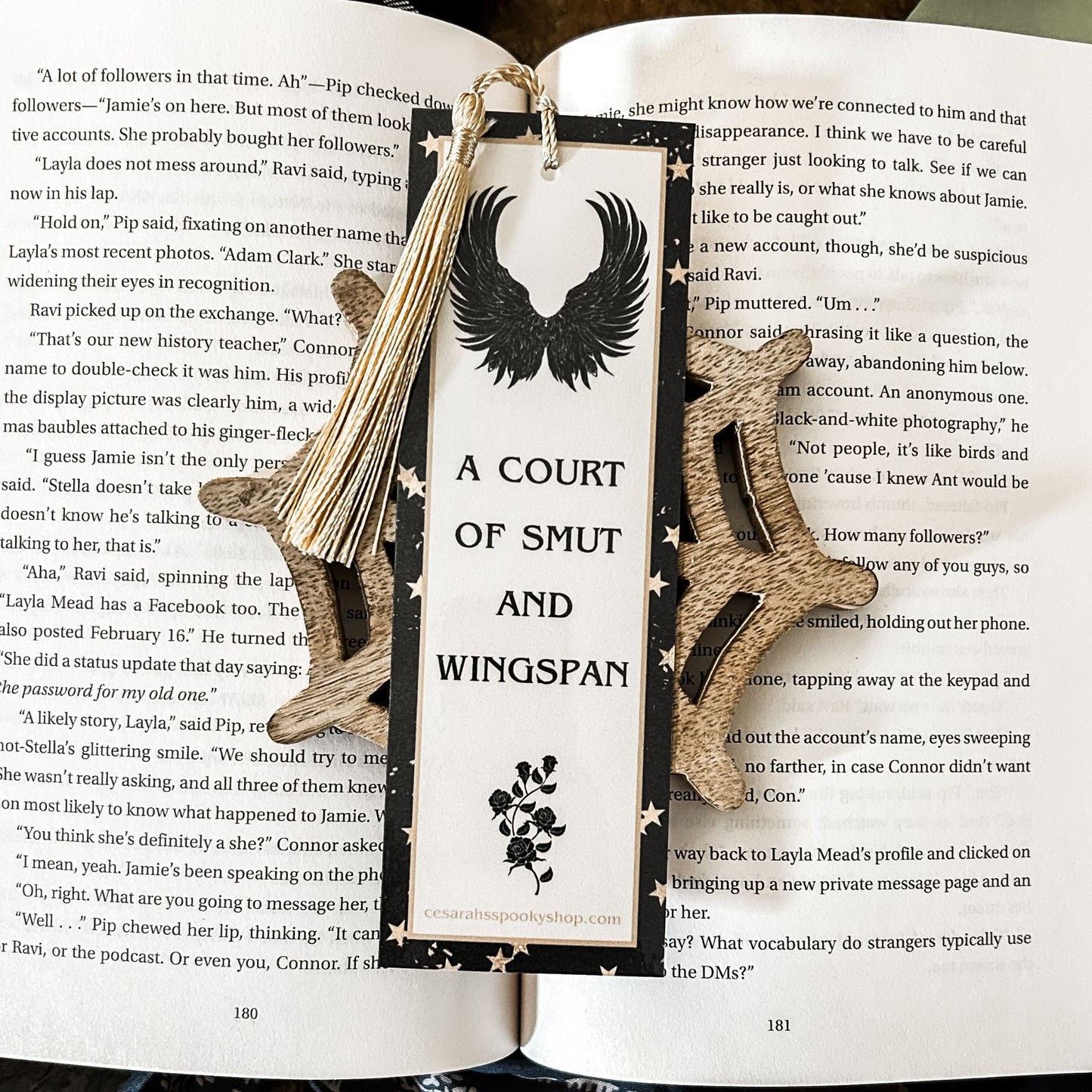A Court of Smut & Wingspan Bookmark Cesarah's Spooky Shop