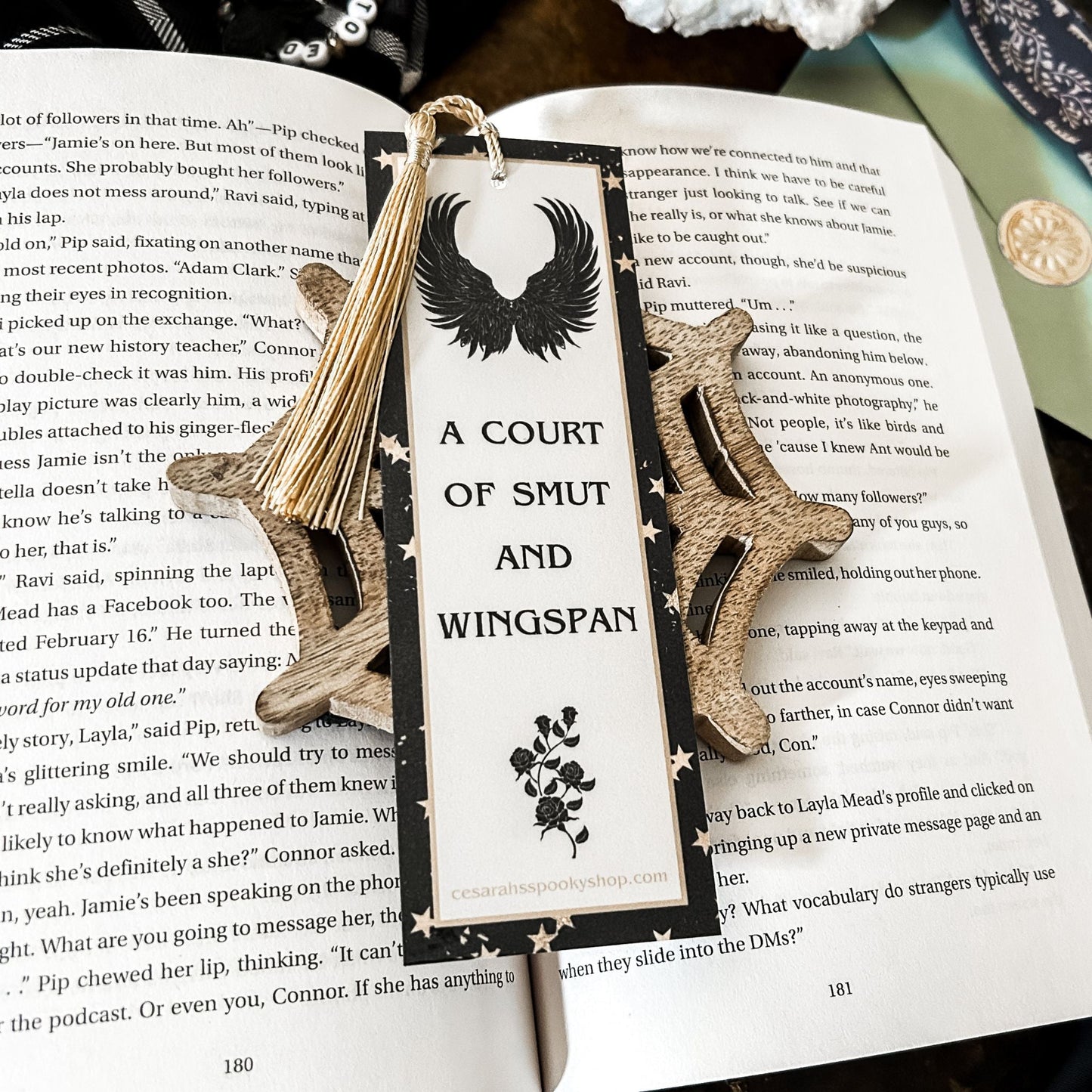 A Court of Smut & Wingspan Bookmark Cesarah's Spooky Shop