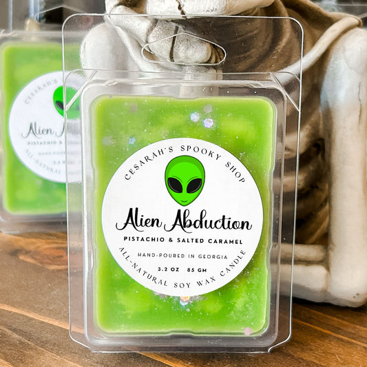 Alien Abduction Wax Melt (Pistachio & Salted Caramel)