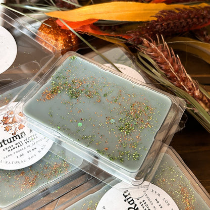 Autumn Rain Wax Melt (Crisp Wet Leaves and Harvest Spices)