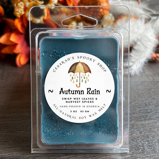 Autumn Rain Wax Melt (Crisp Wet Leaves and Harvest Spices) Cesarah's Spooky Shop